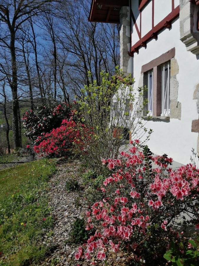 Maison D'Hotes Villa Xaran Erdian Espelette Exterior photo